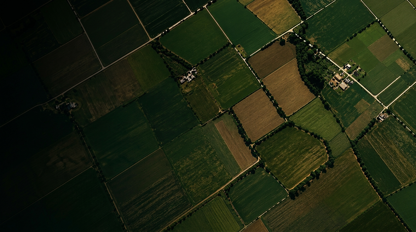 Vista aérea del territorio agrícola